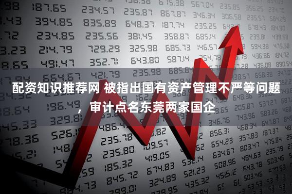 配资知识推荐网 被指出国有资产管理不严等问题,审计点名东莞两家国企